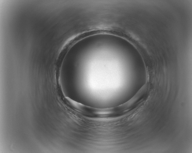 X0000065971214200603031120