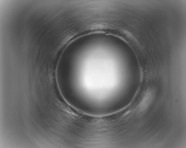 X0000065971217200603031120