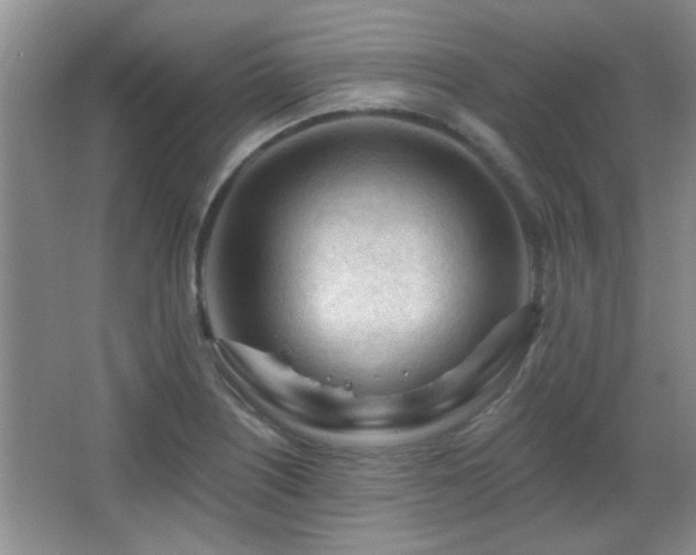 X0000065971226200603031120