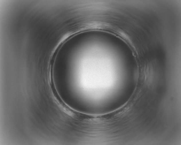 X0000065971227200603031120
