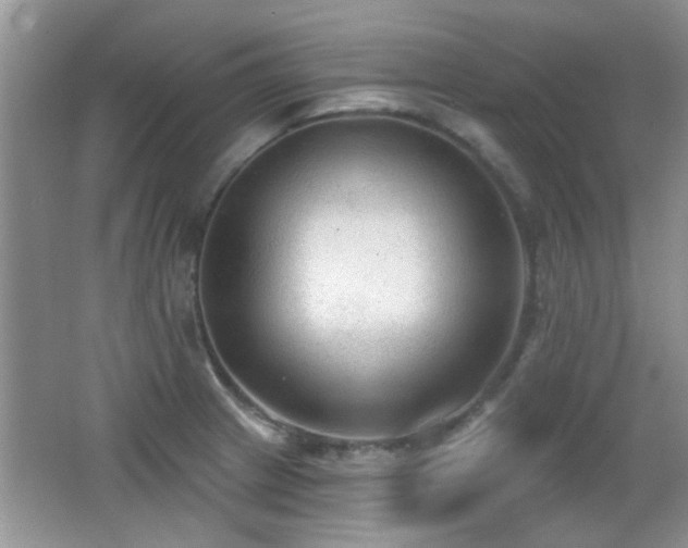 X0000065971233200603031120