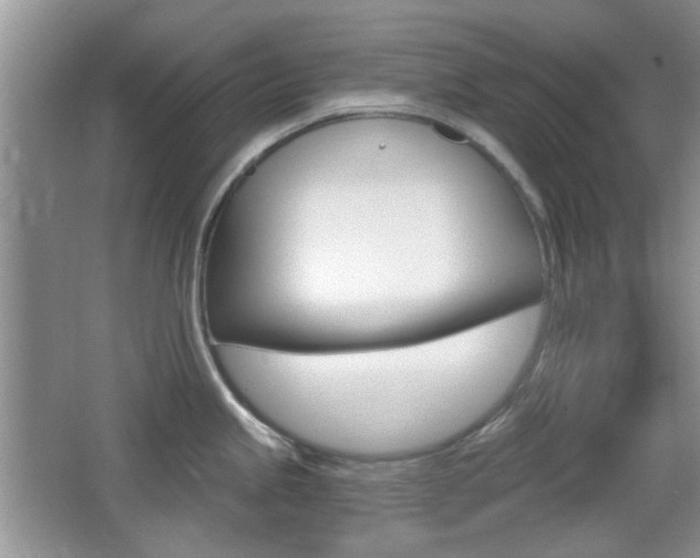 X0000065971245200603031120