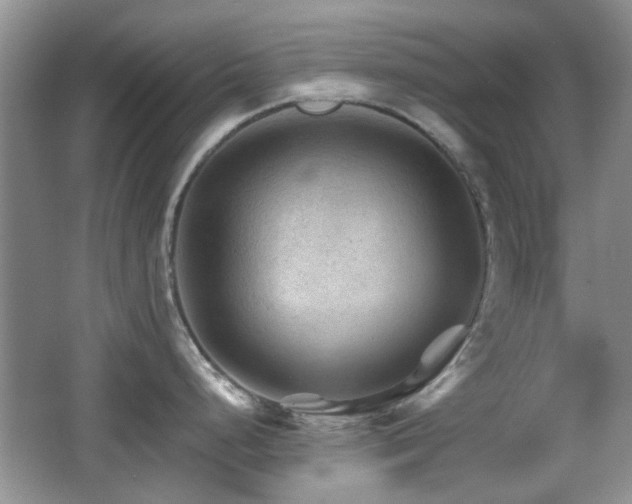 X0000065971248200603031120