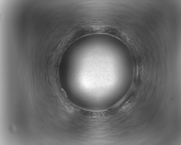 X0000065971249200603031119