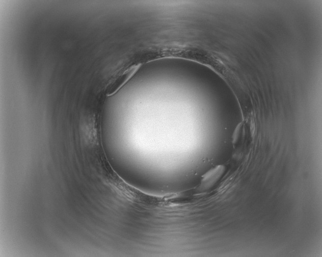 X0000065971252200603031119
