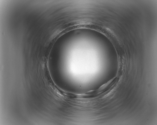 X0000065971257200603031119