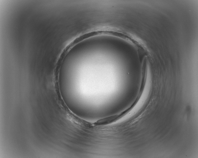 X0000065971264200603031119