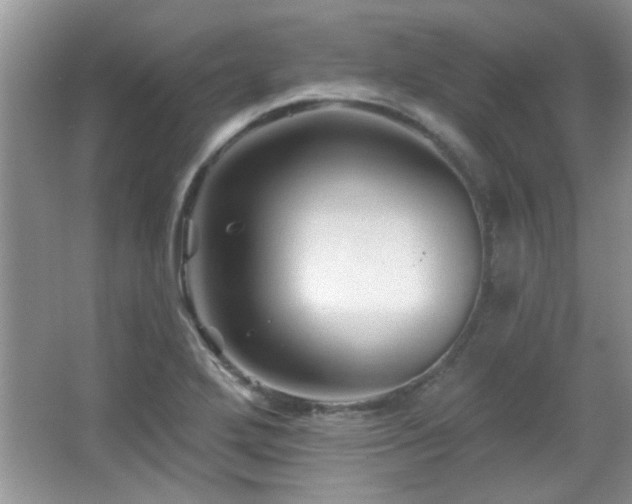 X0000065971272200603031119