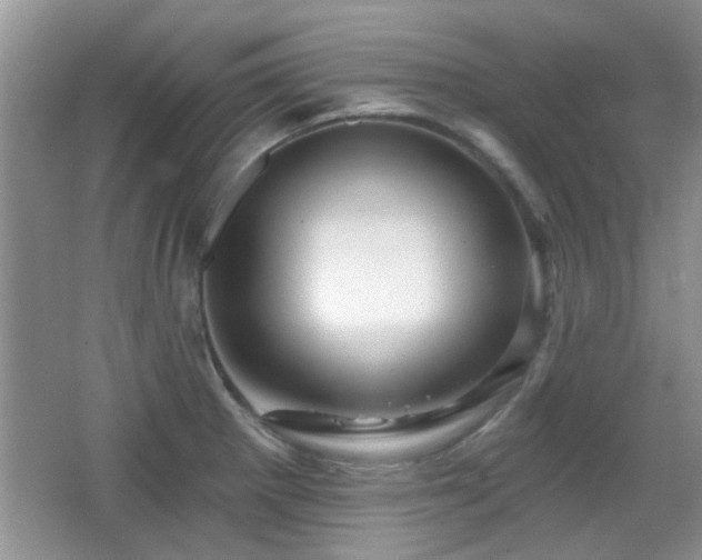 X0000065971281200603031119