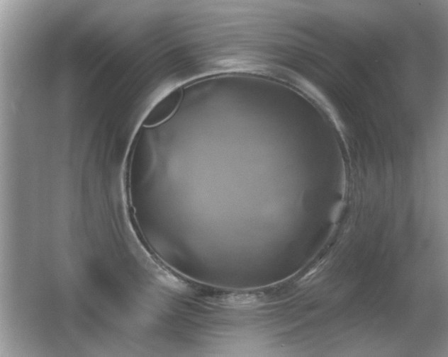 X0000065971291200603031119