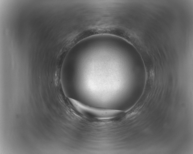 X0000065971300200603031118