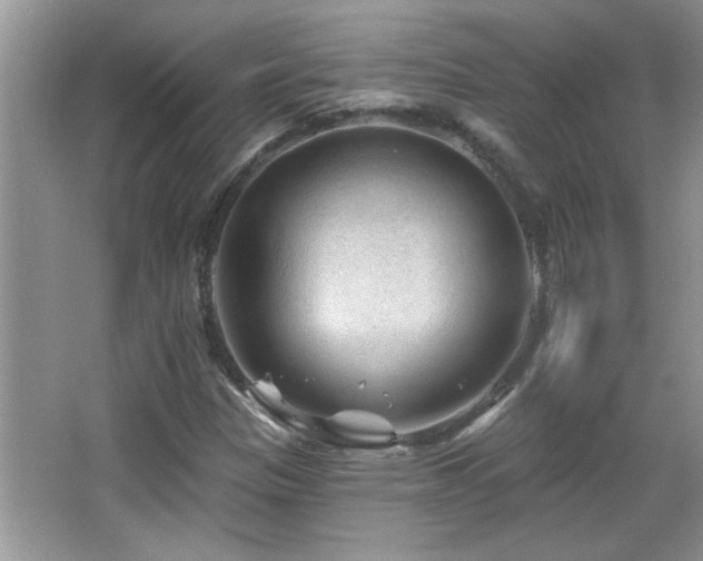 X0000065971305200603031118