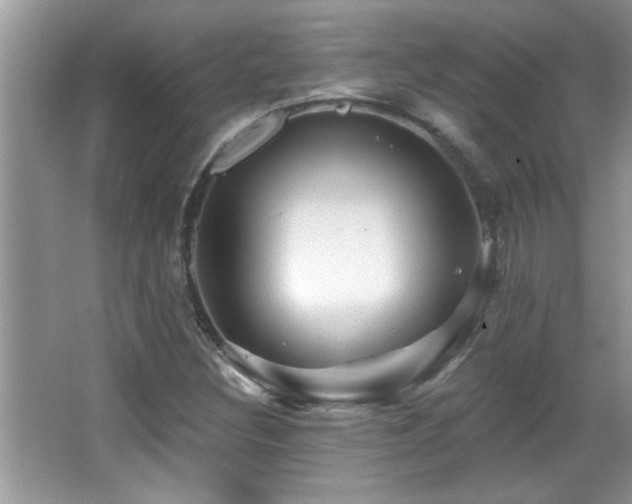 X0000065971308200603031118