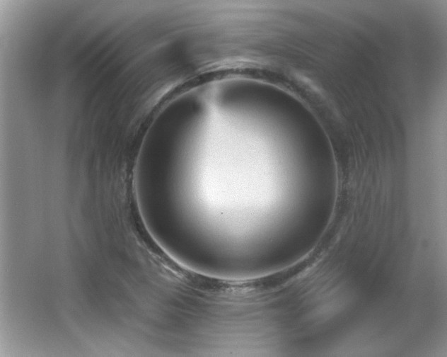 X0000065971313200603031118