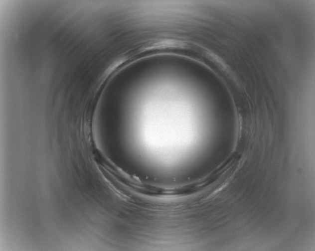 X0000065971321200603031118