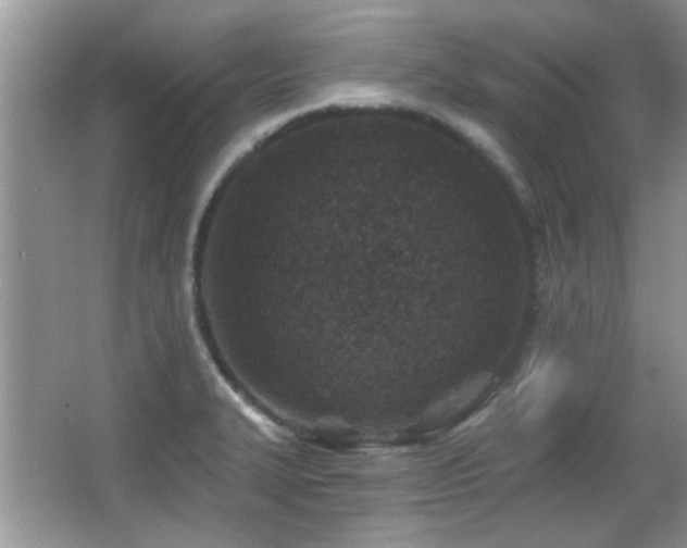 X0000065971327200603031118