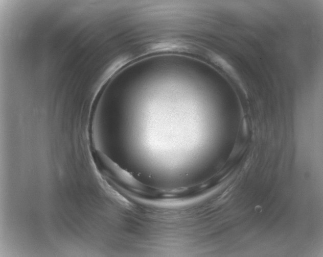 X0000065971330200603031118