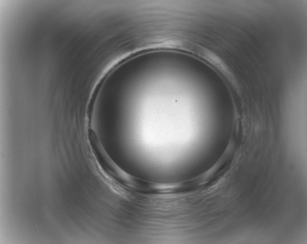 X0000065971332200603031118