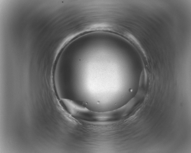 X0000065971336200603031118