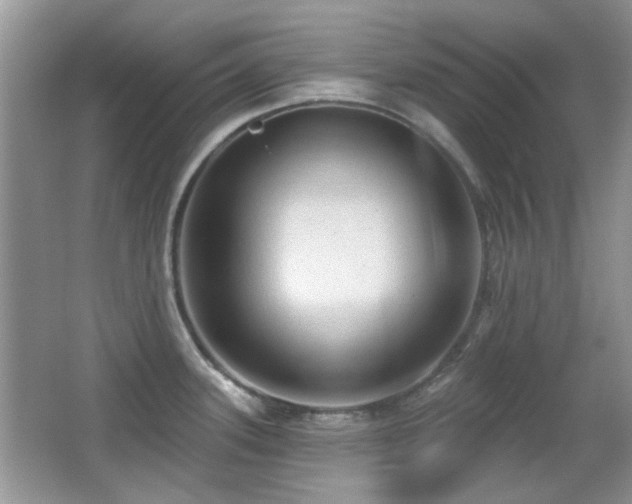 X0000065971339200603031119