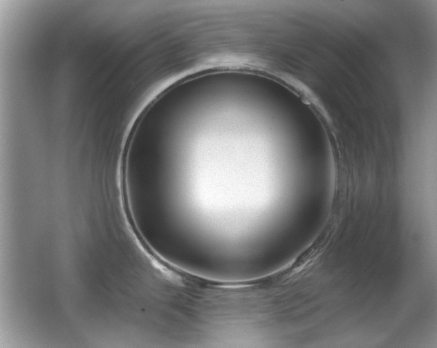 X0000065971343200603031119