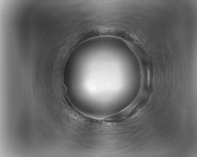X0000065971345200603031118