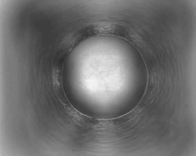 X0000065971346200603031118