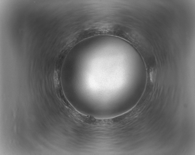 X0000065971347200603031118