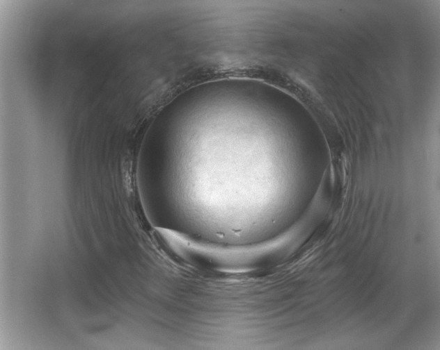 X0000065971348200603031118