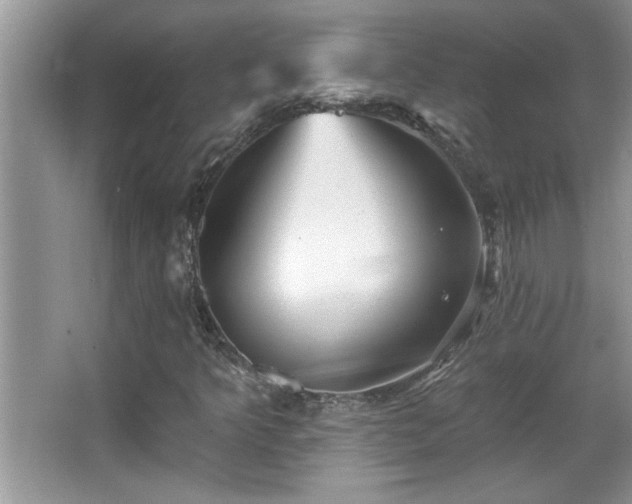 X0000065971349200603031118