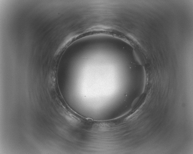 X0000065971355200603031118