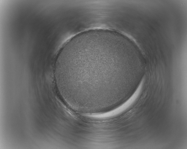 X0000065971359200603031118