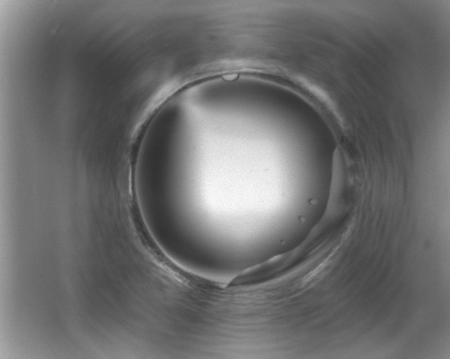 X0000065971365200603031117