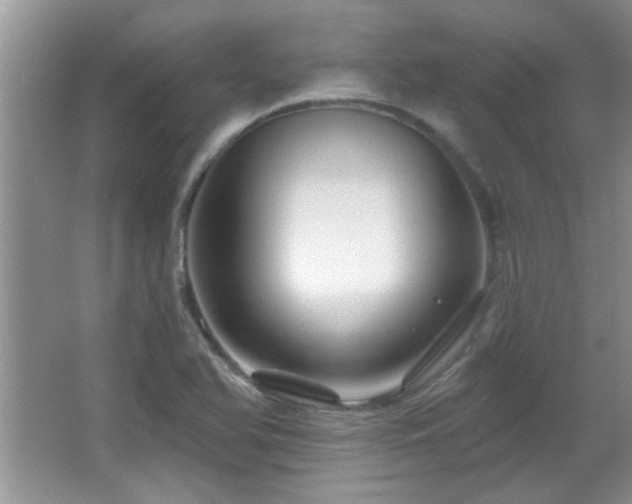 X0000065971366200603031117