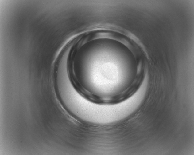 X0000065971368200603031117