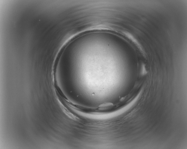X0000065971372200603031117