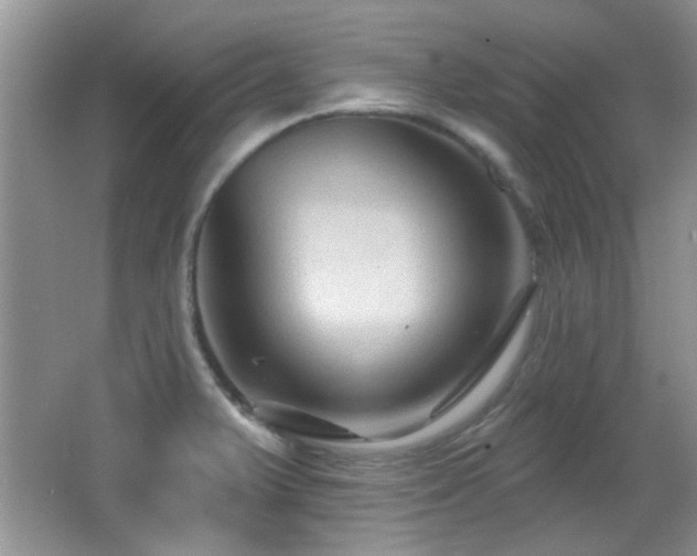 X0000065971375200603031117