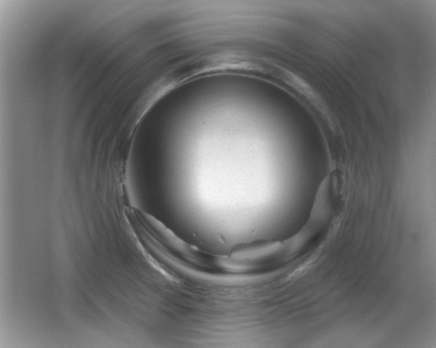 X0000065971377200603031117