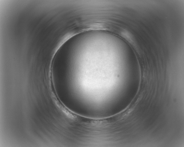 X0000065971378200603031117