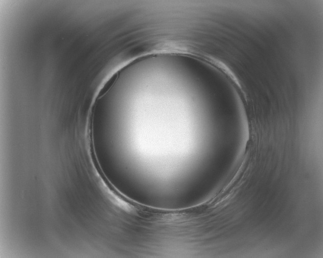 X0000065971387200603031117