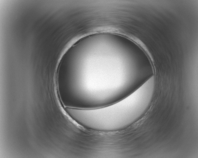 X0000065971389200603031117
