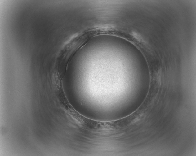 X0000065971398200603031116