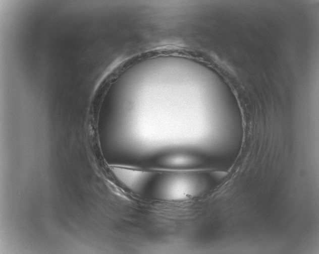 X0000065971400200603031116
