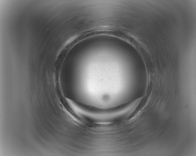 X0000065971402200603031116