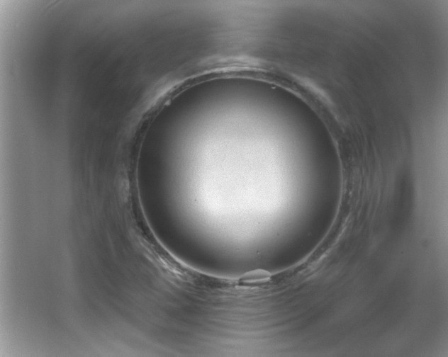 X0000065971407200603031116