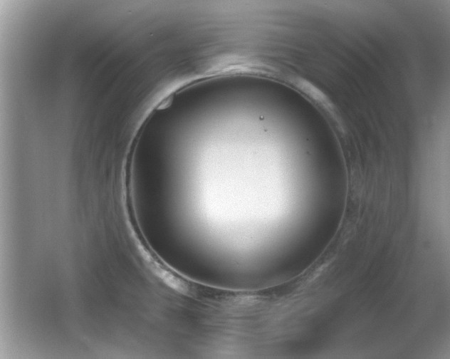 X0000065971431200603031117