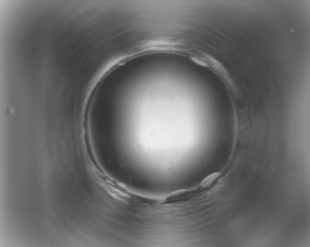 X0000065971435200603031117