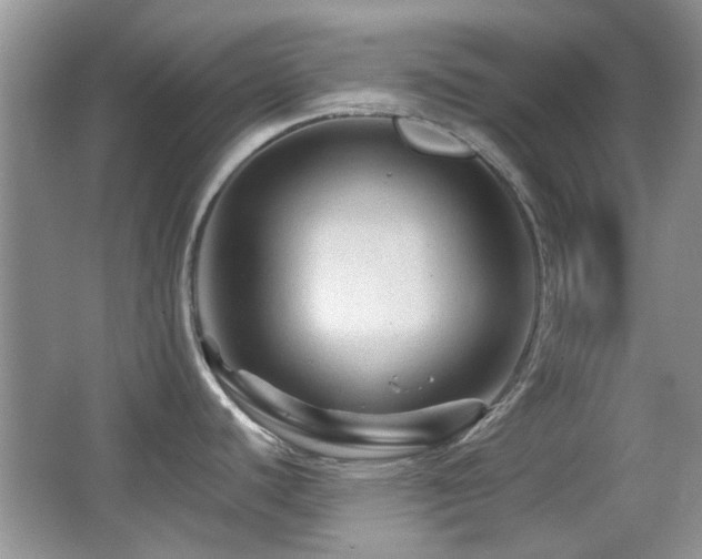 X0000065971440200603031117