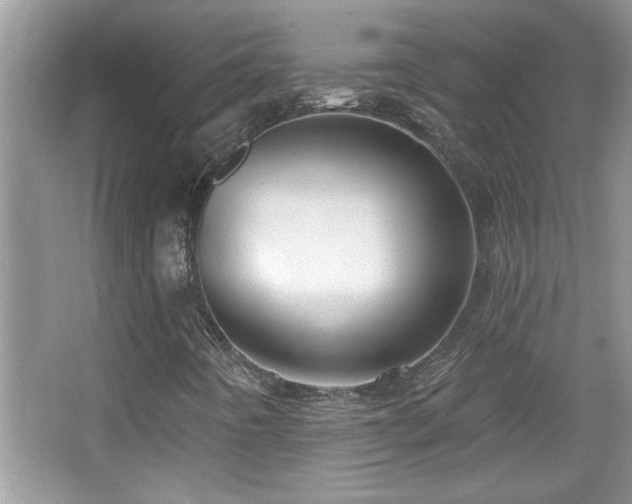 X0000065971442200603031116