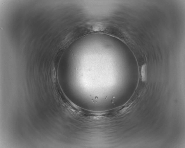 X0000065971443200603031116